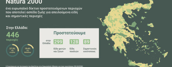 Να μπει ο ποταμός Ερύμανθος σε καθεστώς Natura