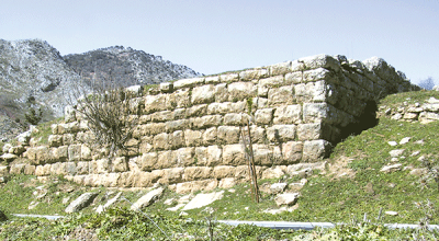 ΤΟΠΙΚΟΙ ΜΥΘΟΙ ΚΑΙ ΛΑΤΡΕΙΕΣ ΤΗΣ ΑΡΧΑΙΑΣ ΨΩΦΙΔΑΣ