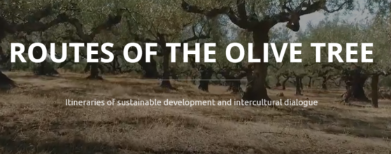 Οι «Δρόμοι της Ελιάς»